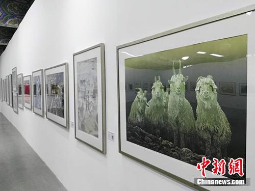 雞西版畫晉京展，黑土地藝術之花綻放北京
